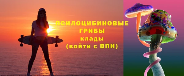 твердый Алексеевка