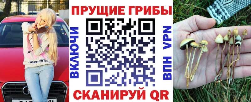 Псилоцибиновые грибы Cubensis Шумиха